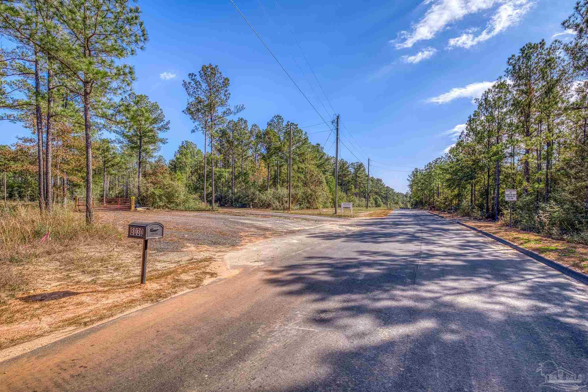 8030 Gin Road Milton, FL 32571 - Photo 8 of 13 a view of a yard with a tree