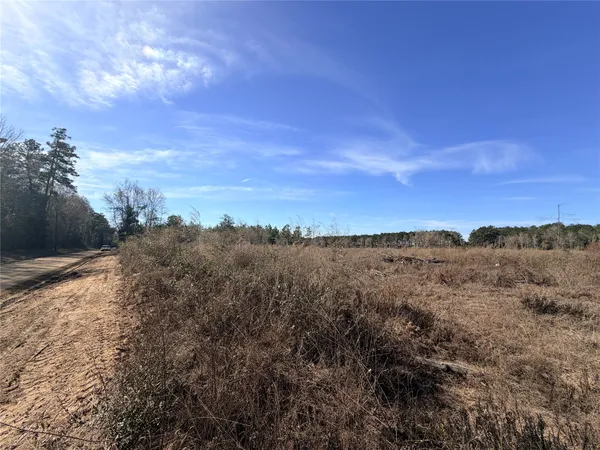 a view of a dry yard with trees in the background