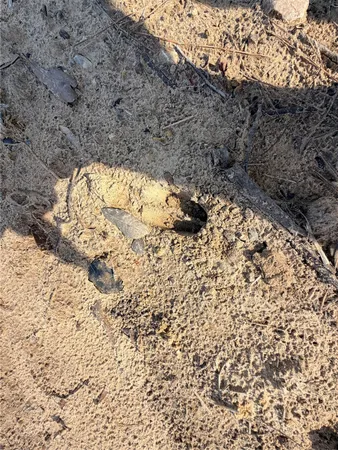 a view of snow on a road