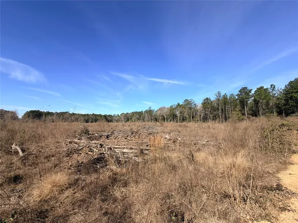 a view of mountain view with lots of trees