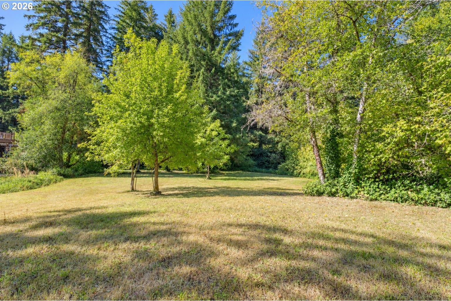 94995 Marcola Road Marcola, OR 97454 - Photo 29 of 34 Gallery Image 29