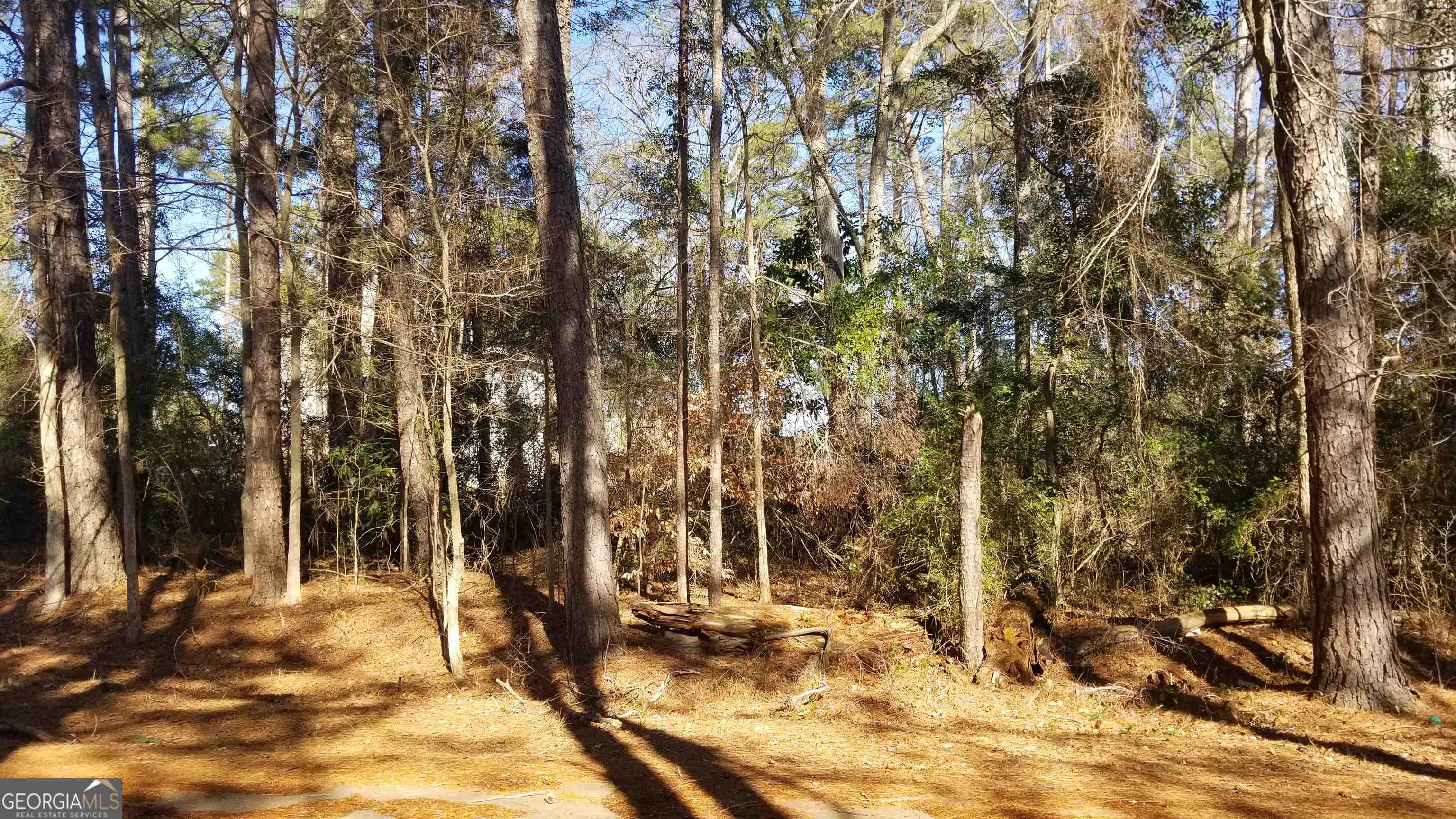 2405 Hi Roc Circle Northeast Conyers, GA 30012 - Photo 4 of 9