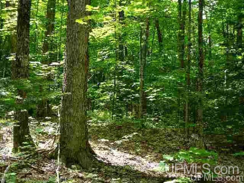 Tbd Ko Swanson Road, Unit 2B Iron Mountain, MI 49801 - Photo 1 of 1