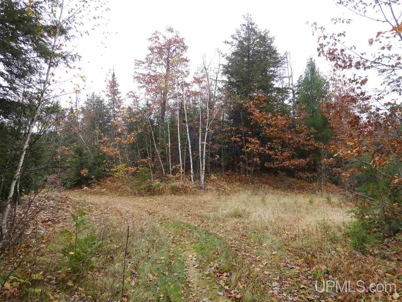 510 Rd Marquette Mi 49855 Road Negaunee, MI 49866 - Photo 24 of 26