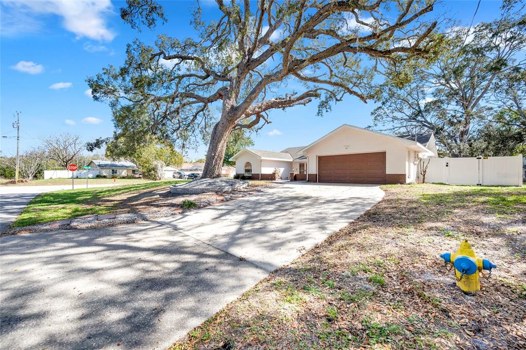 2272 Ancho Avenue Spring Hill, FL 34608 - Photo 50 of 60