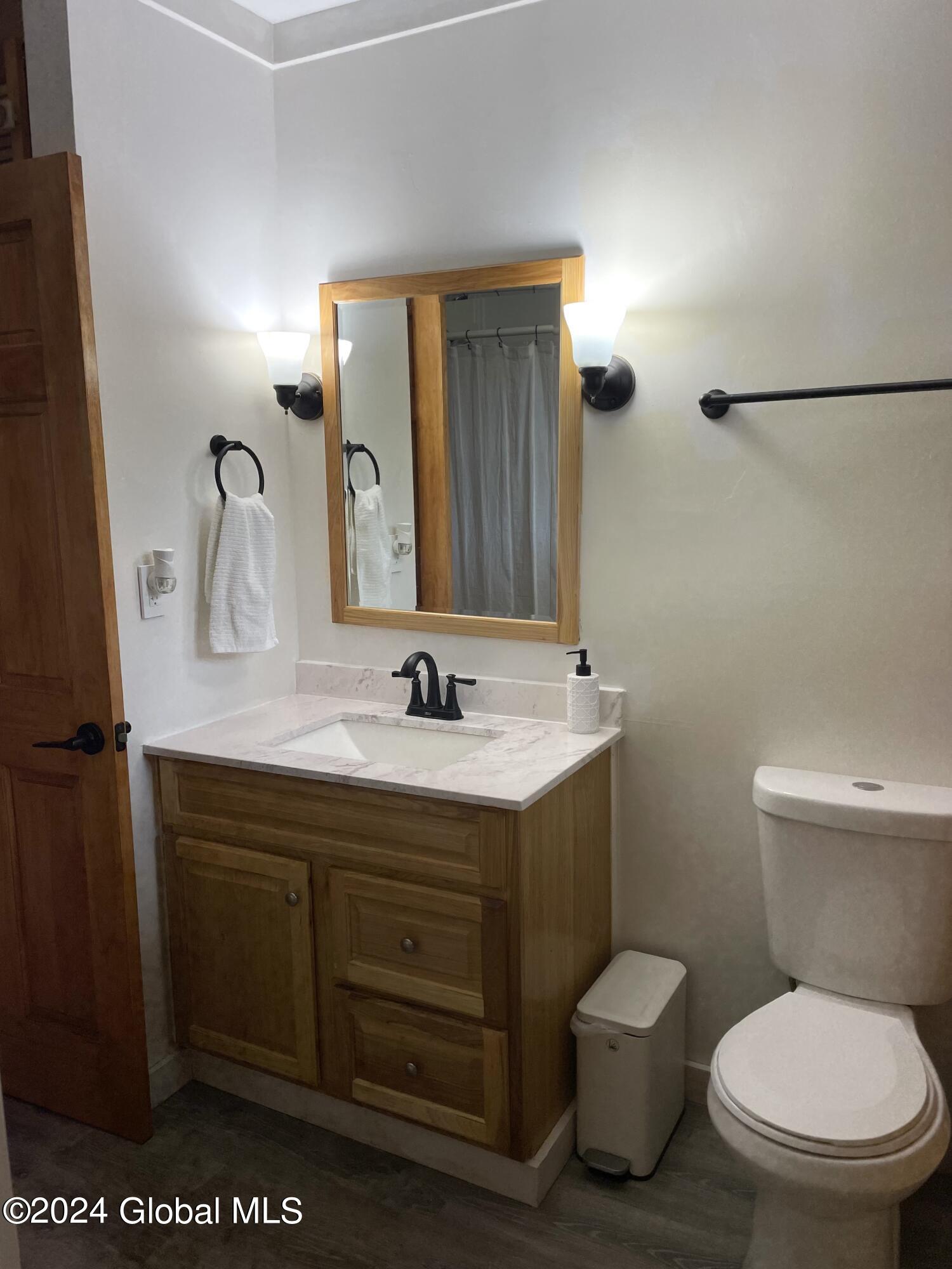 83 McCulloch Cross Road Rensselaerville, NY 12120 - Photo 14 of 48 Downstairs Bath 2