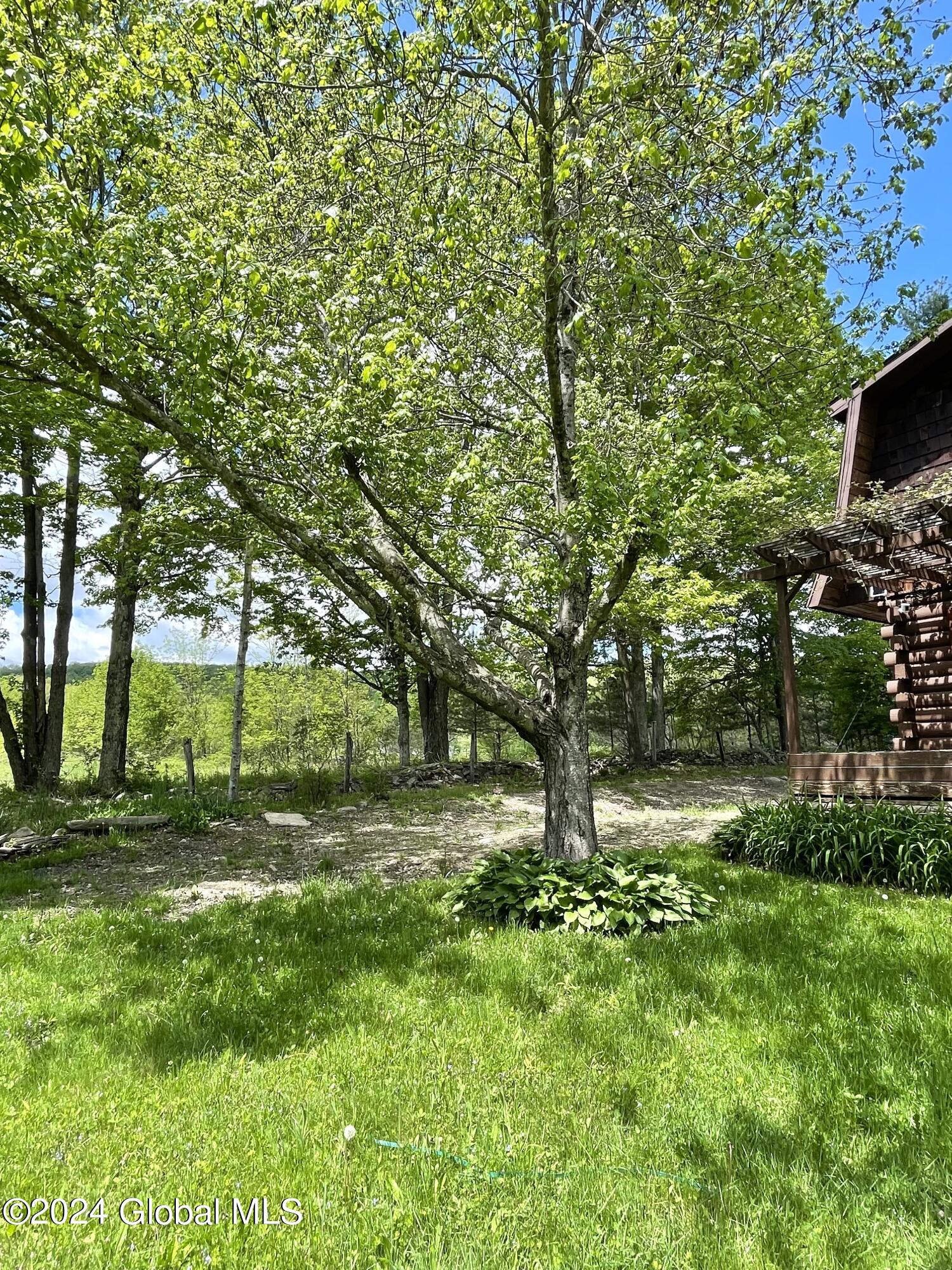 83 McCulloch Cross Road Rensselaerville, NY 12120 - Photo 35 of 48 Exterior Side and Tree