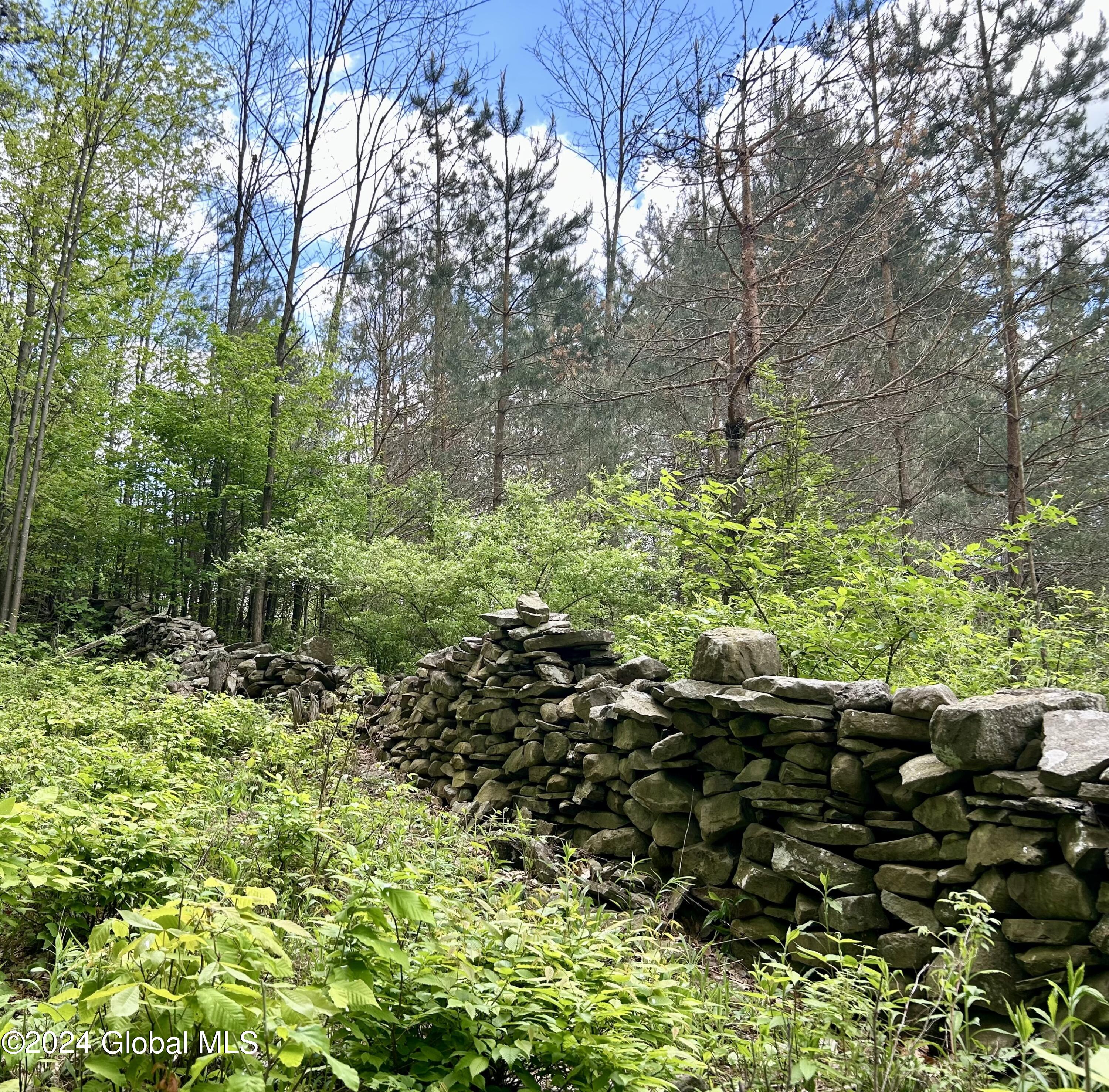 83 McCulloch Cross Road Rensselaerville, NY 12120 - Photo 37 of 48 Stone Wall