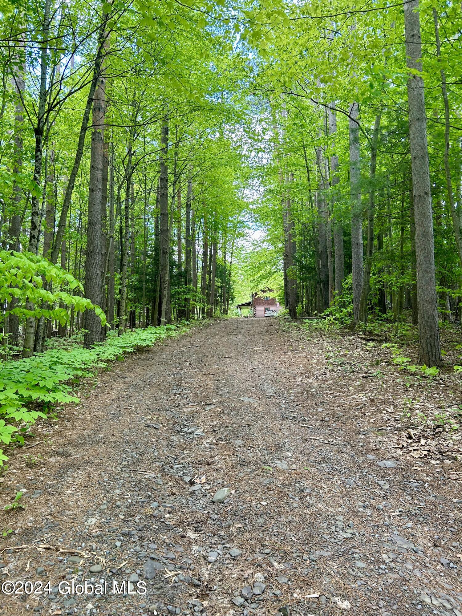 83 McCulloch Cross Road Rensselaerville, NY 12120 - Photo 38 of 48 Driveway