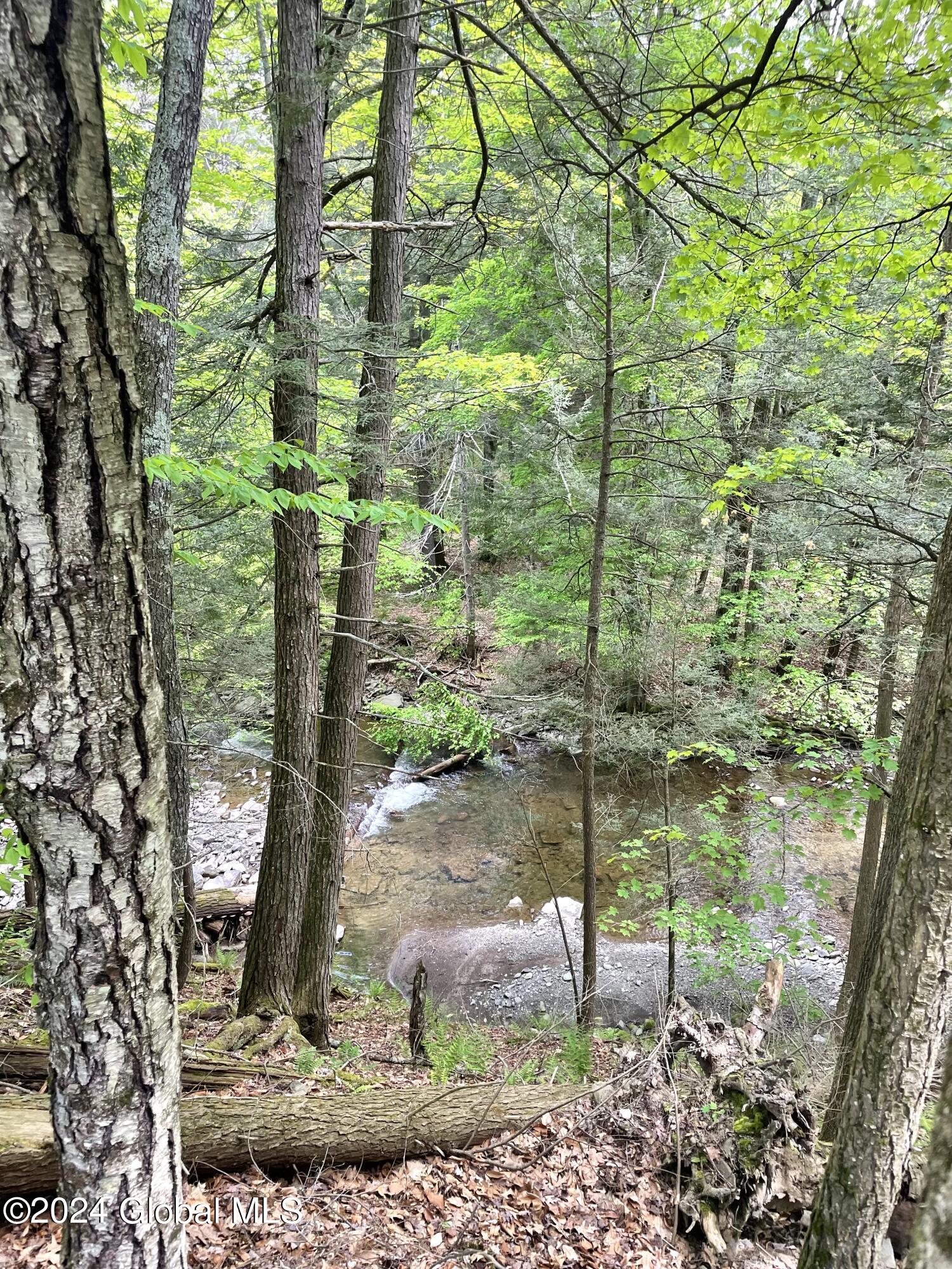 83 McCulloch Cross Road Rensselaerville, NY 12120 - Photo 39 of 48 Ten Mile Creek From Property