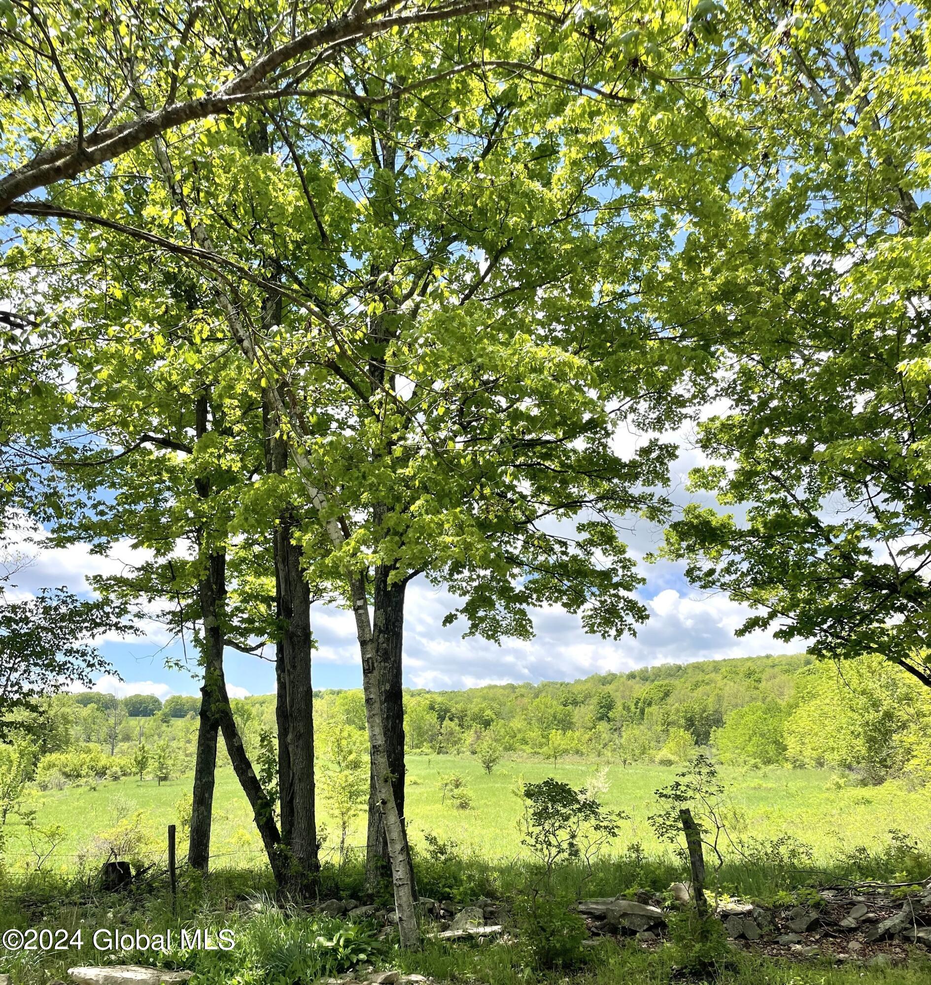 83 McCulloch Cross Road Rensselaerville, NY 12120 - Photo 40 of 48 View From Side