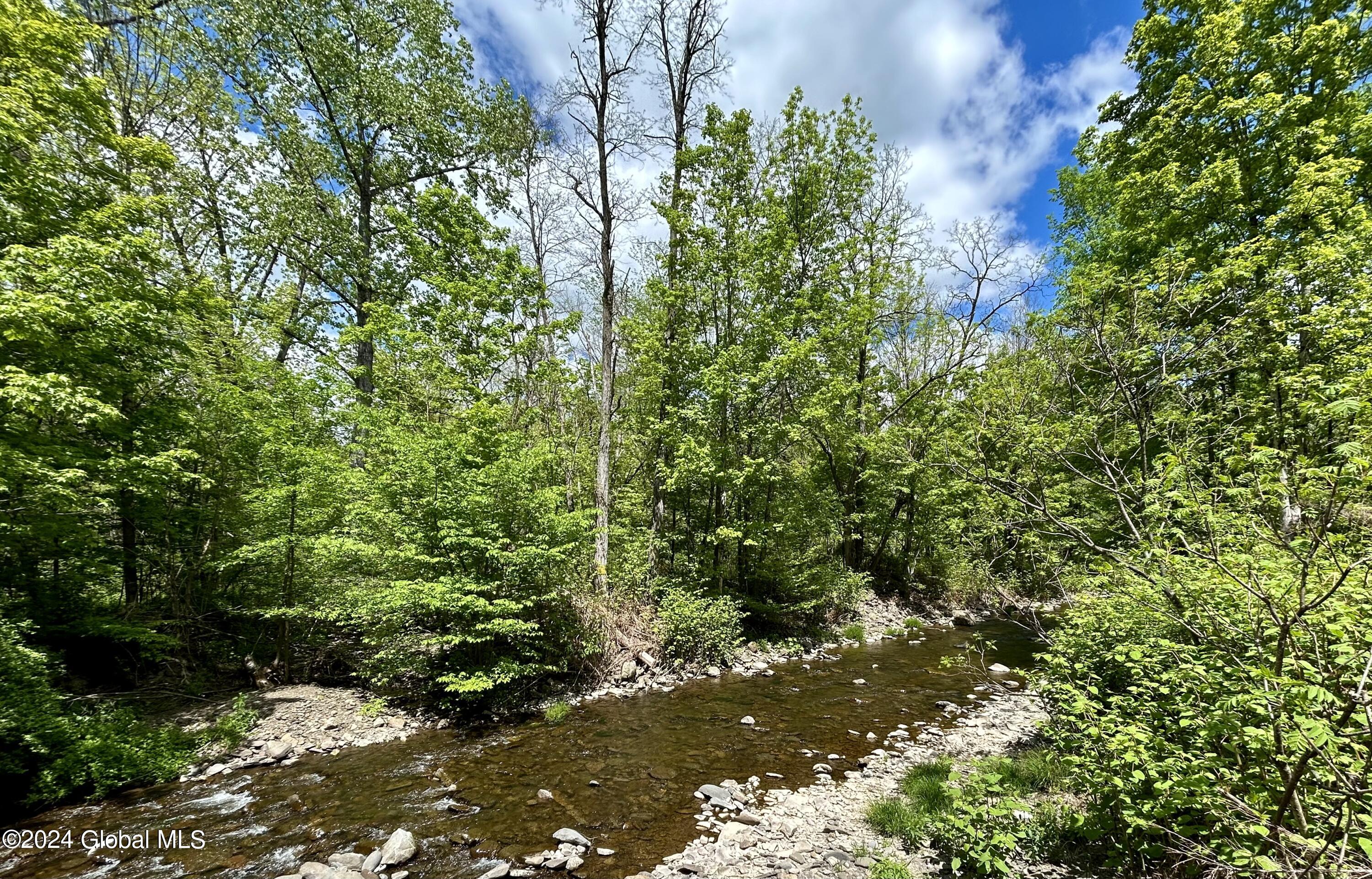 83 McCulloch Cross Road Rensselaerville, NY 12120 - Photo 43 of 48 Approach 10 Mile Creek