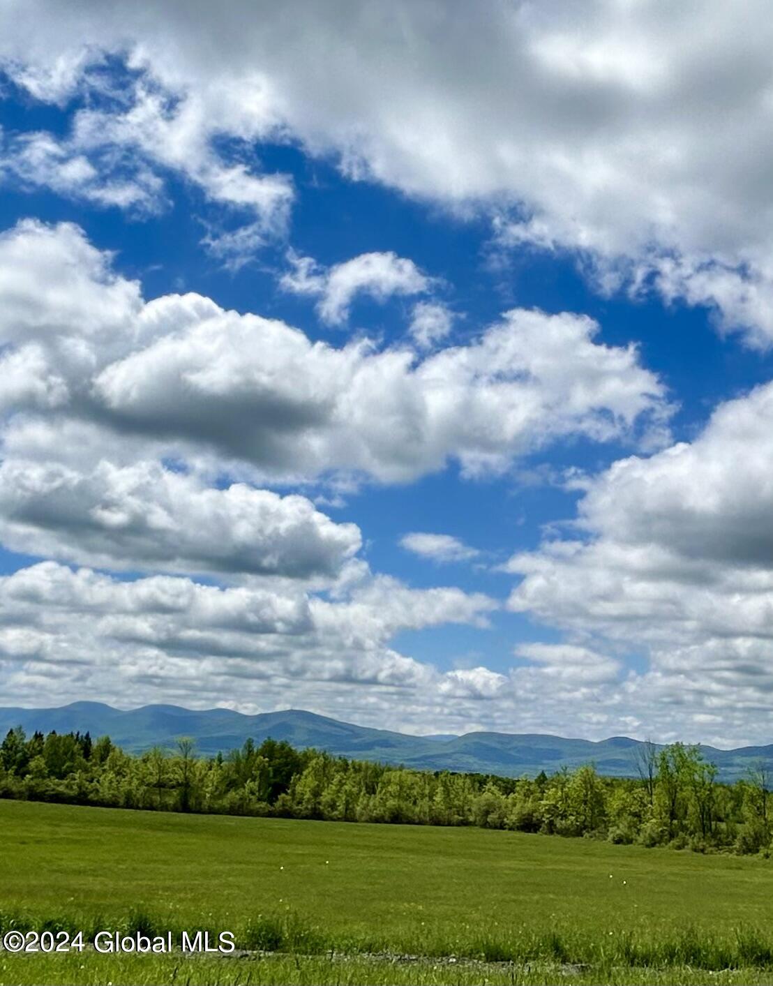 83 McCulloch Cross Road Rensselaerville, NY 12120 - Photo 45 of 48 Approach Mountains
