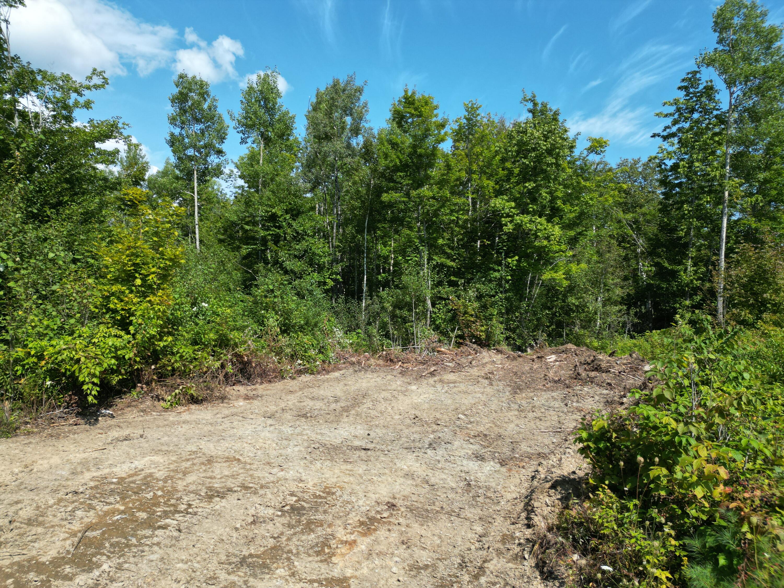 Lot 4 Bear Lane Springfield, ME 04487 - Photo 2 of 13 DJI_0065