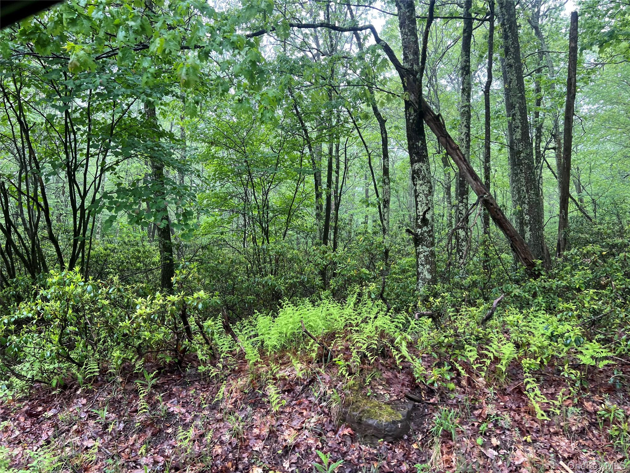 Budd Road Wurtsboro, NY 12790 - Photo 6 of 13 A sprawling contemporary?