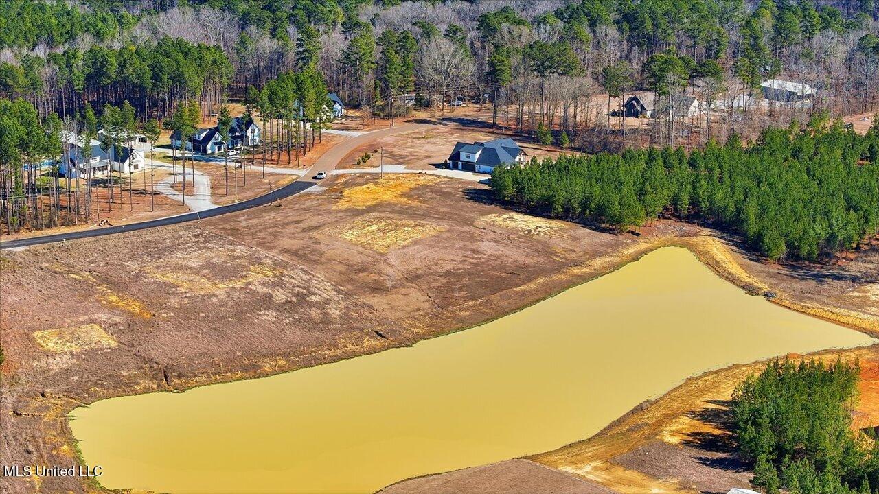 670 Stull Road Brandon, MS 39047 - Photo 15 of 25 15-670 Stull Rd _ Home Tours MS