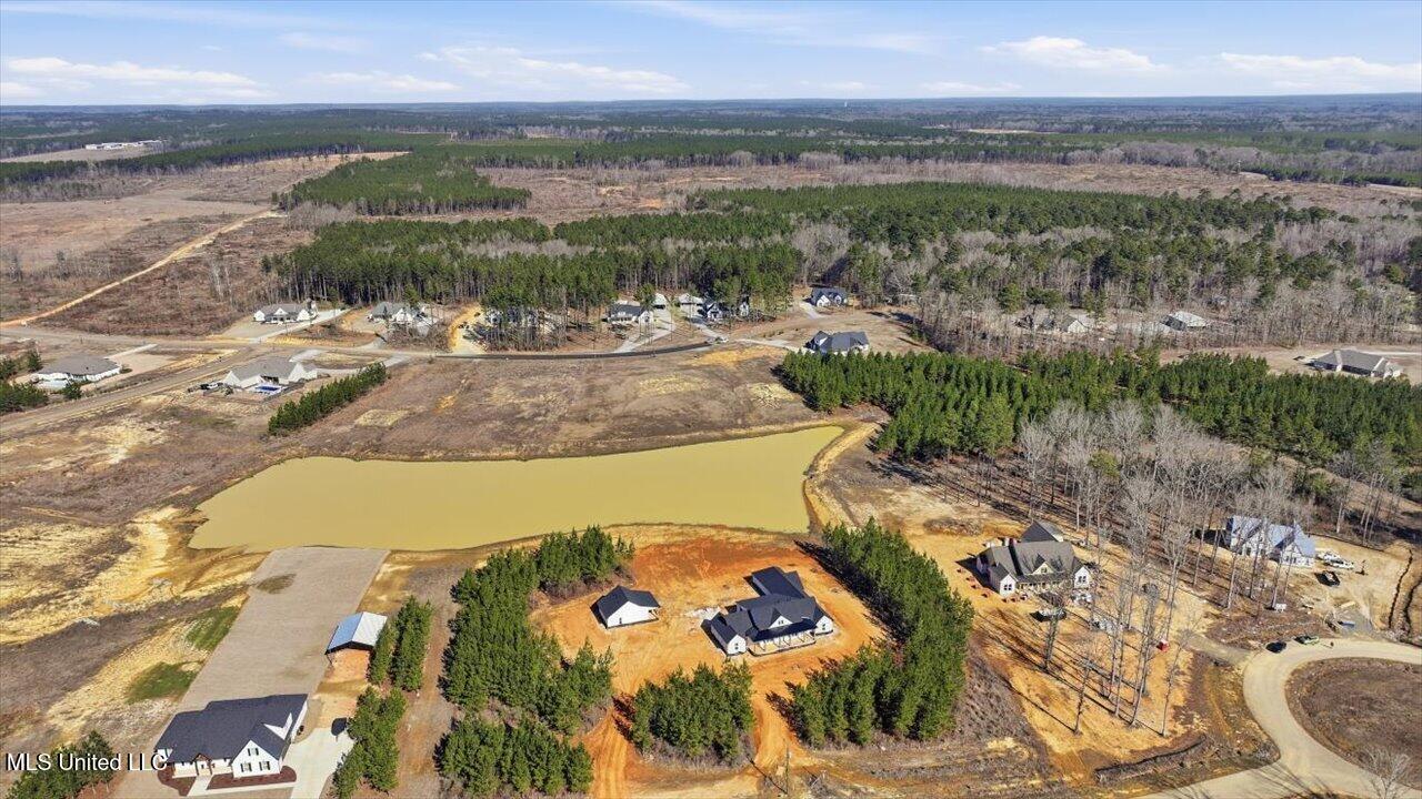 670 Stull Road Brandon, MS 39047 - Photo 16 of 25 16-670 Stull Rd _ Home Tours MS