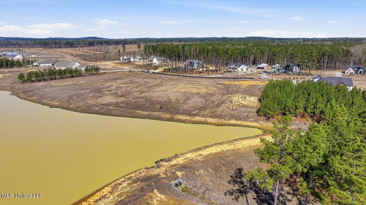 670 Stull Road Brandon, MS 39047 - Photo 25 of 25 25-DJI_20260202105511_0470_D