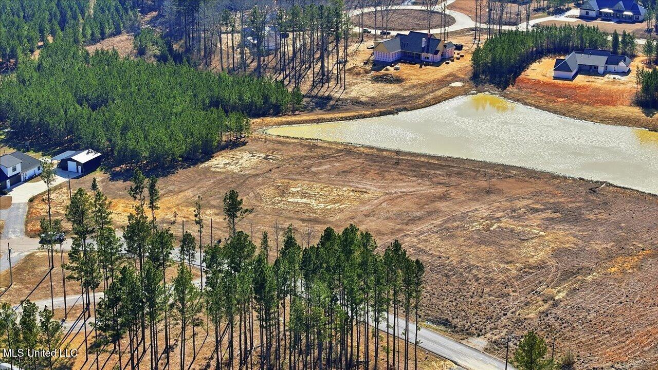 670 Stull Road Brandon, MS 39047 - Photo 7 of 25 06-670 Stull Rd _ Home Tours MS