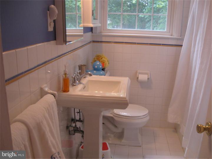 205 Fitzwilliams Road Bryn Mawr, PA 19010 - Photo 25 of 25 Bathroom