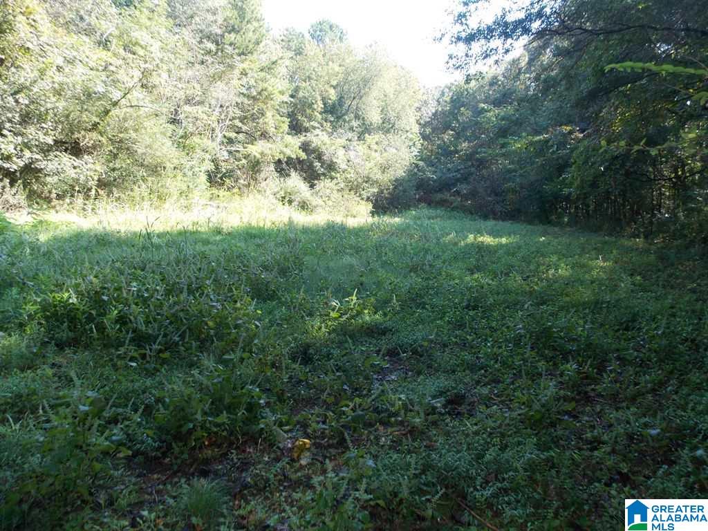 375 Marble Quarry Road, Unit 7 ACRES Talladega, AL 35160 - Photo 29 of 33