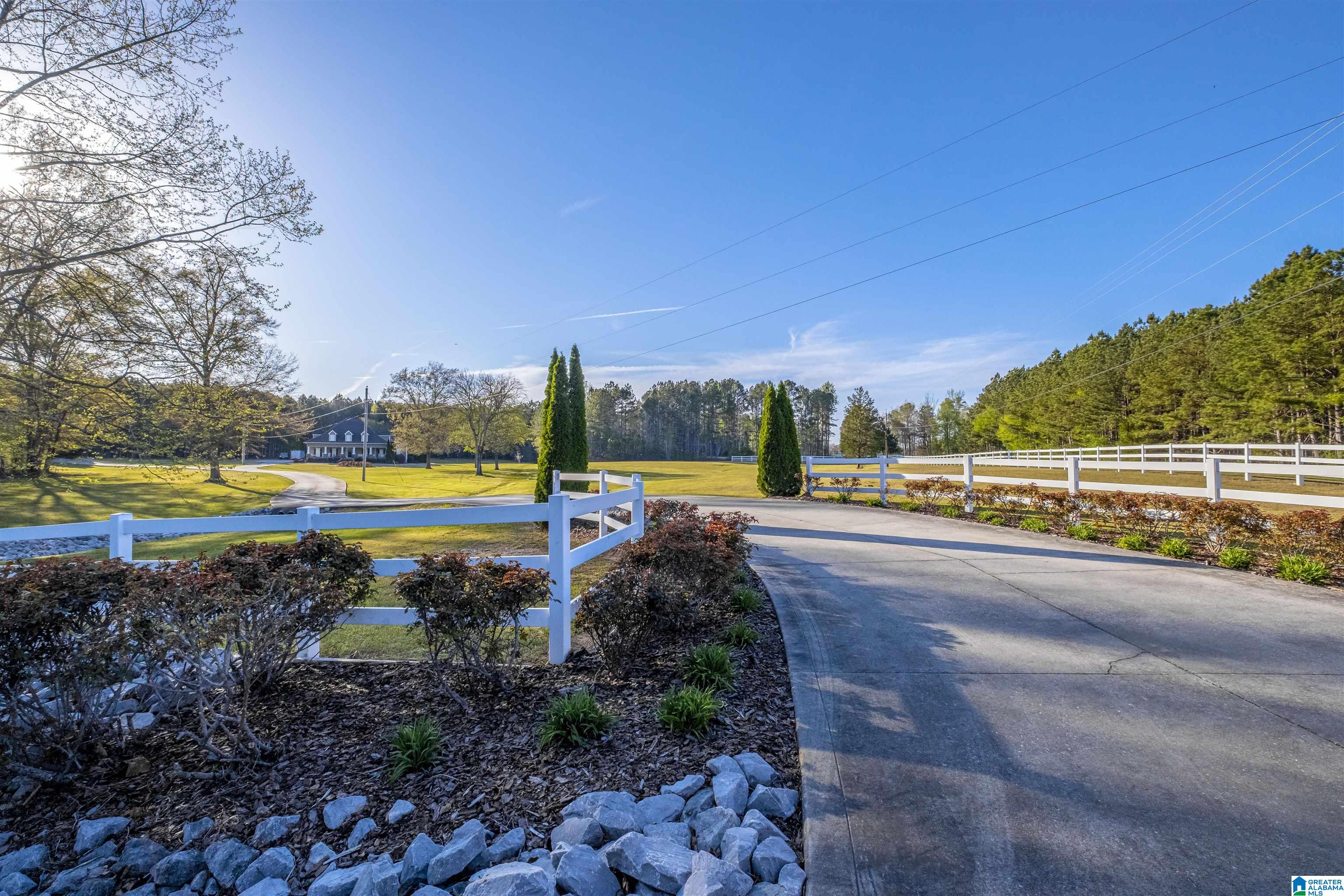 6819 Nisbet Lake Road Jacksonville, AL 36265 - Photo 50 of 50