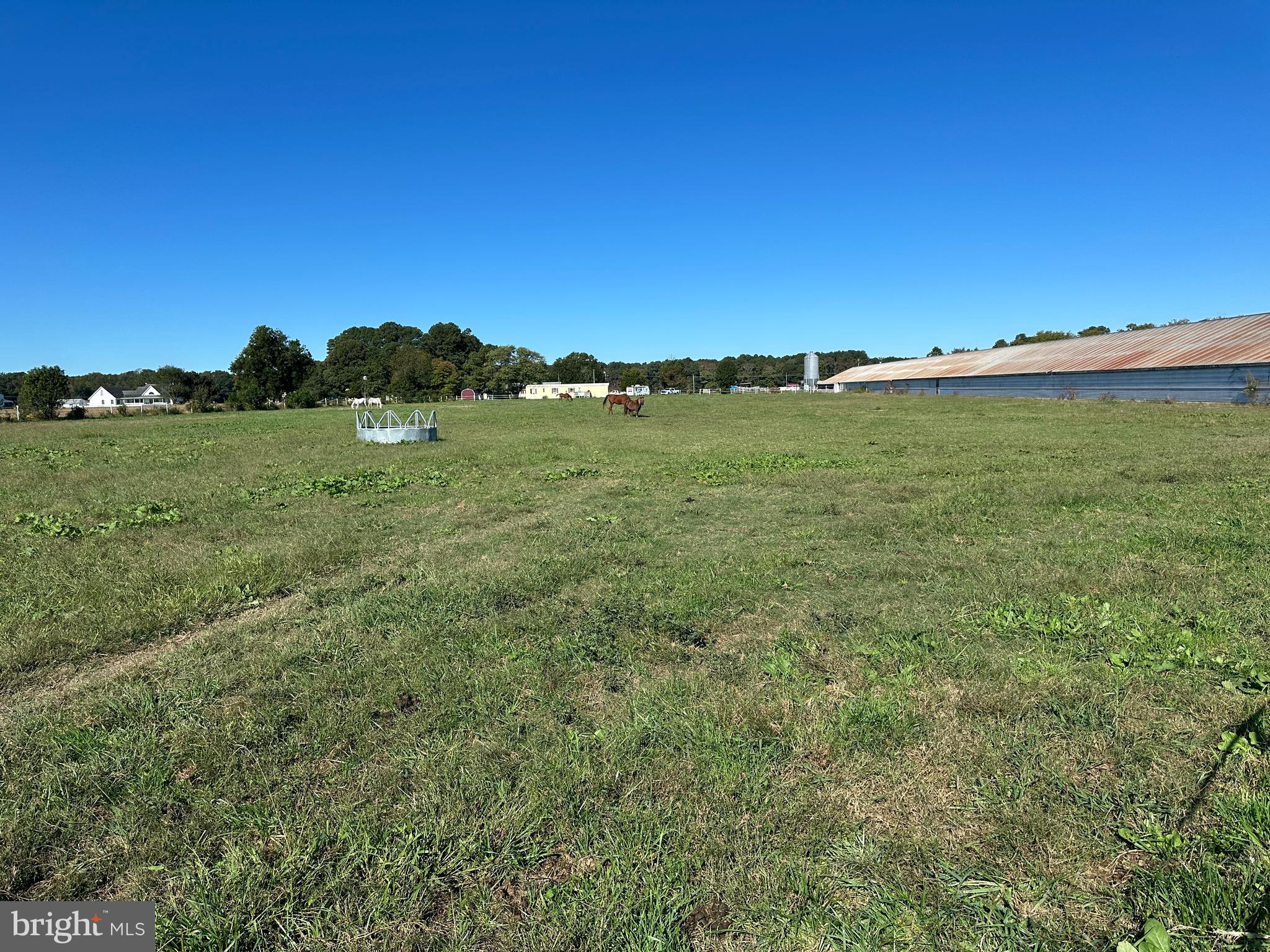 17311 Big Road Bloxom, VA 23308 - Photo 13 of 23