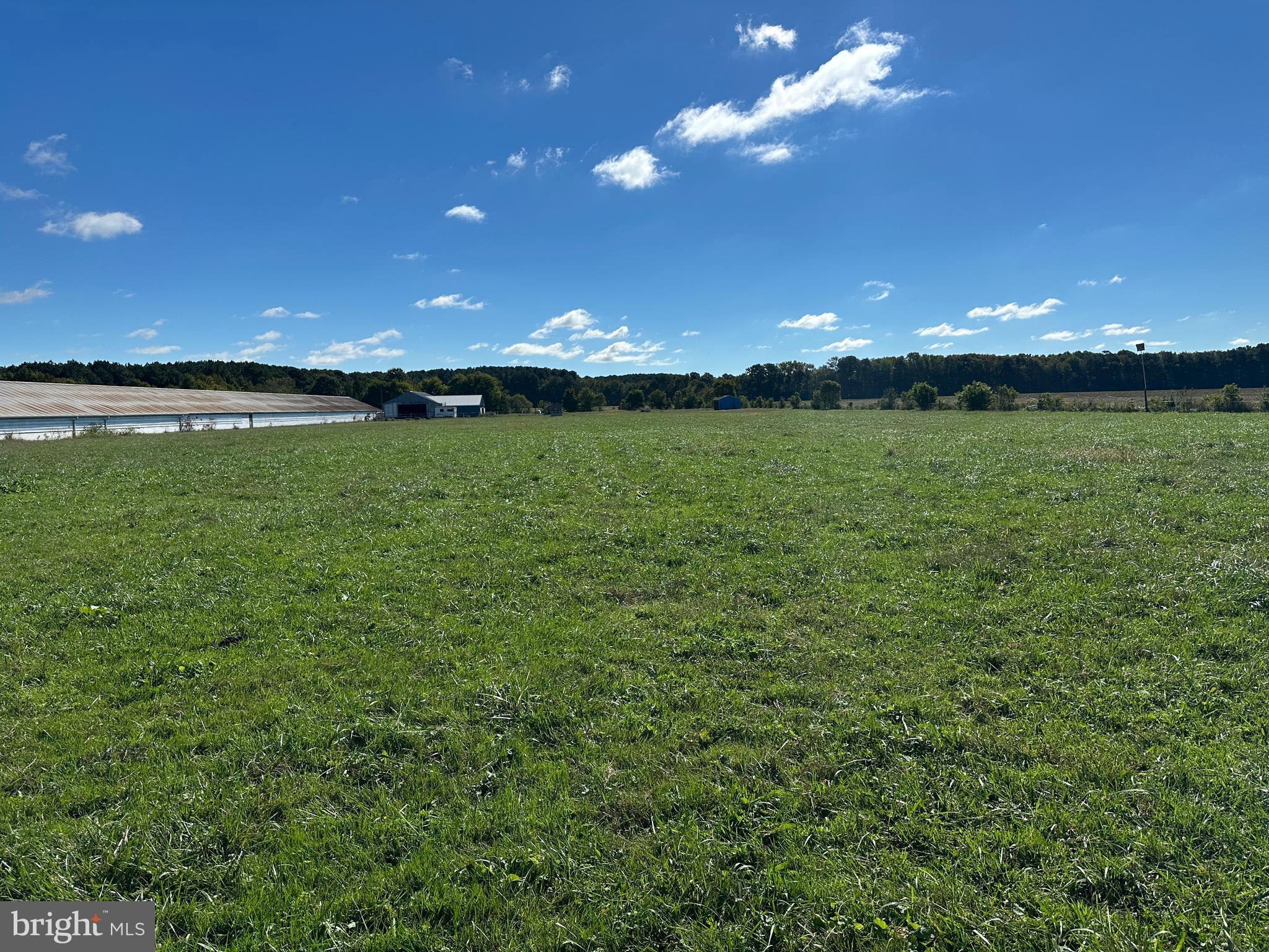 17311 Big Road Bloxom, VA 23308 - Photo 18 of 23