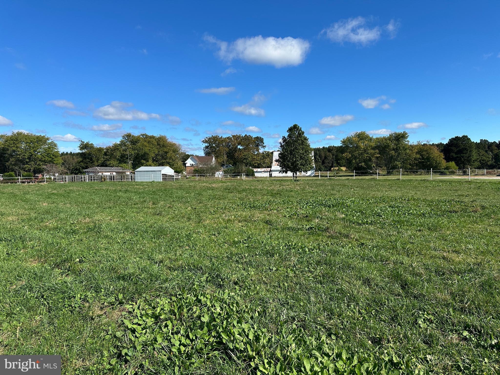 17311 Big Road Bloxom, VA 23308 - Photo 20 of 23