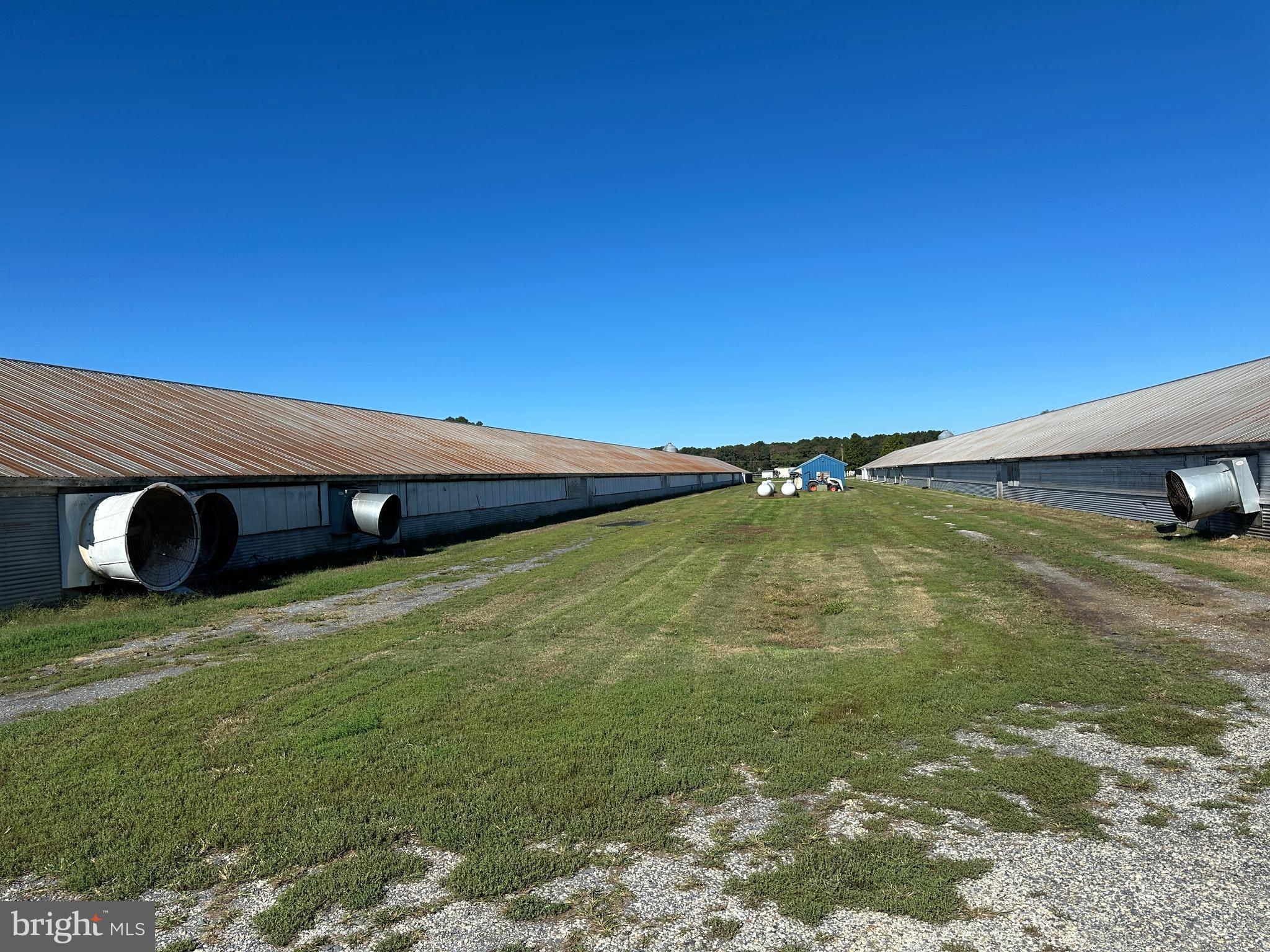 17311 Big Road Bloxom, VA 23308 - Photo 7 of 23