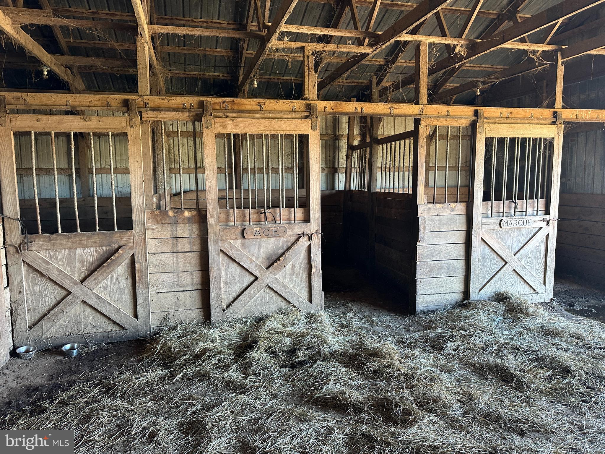 17311 Big Road Bloxom, VA 23308 - Photo 9 of 23