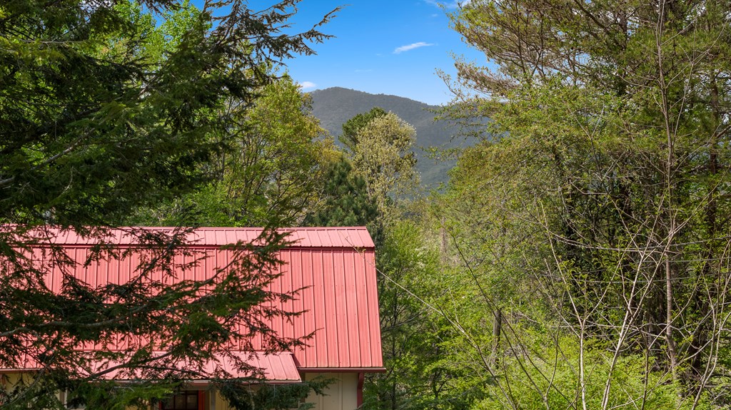 1476 River Hill Road Ellijay, GA 30536 - Photo 28 of 37 Gallery Image 28