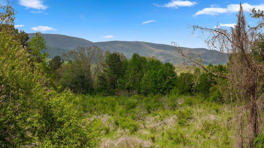1476 River Hill Road Ellijay, GA 30536 - Photo 4 of 37 Gallery Image 4