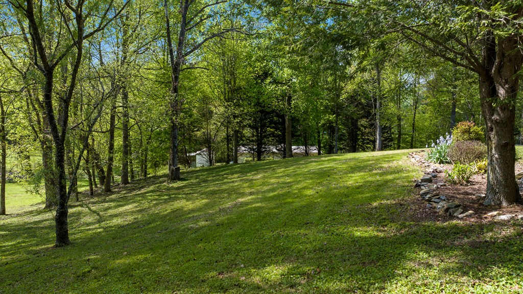 1476 River Hill Road Ellijay, GA 30536 - Photo 8 of 37 Gallery Image 8