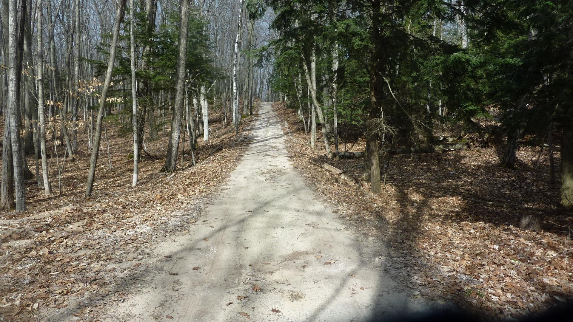 0 Old State Road Frankfort, MI 49635 - Photo 3 of 17