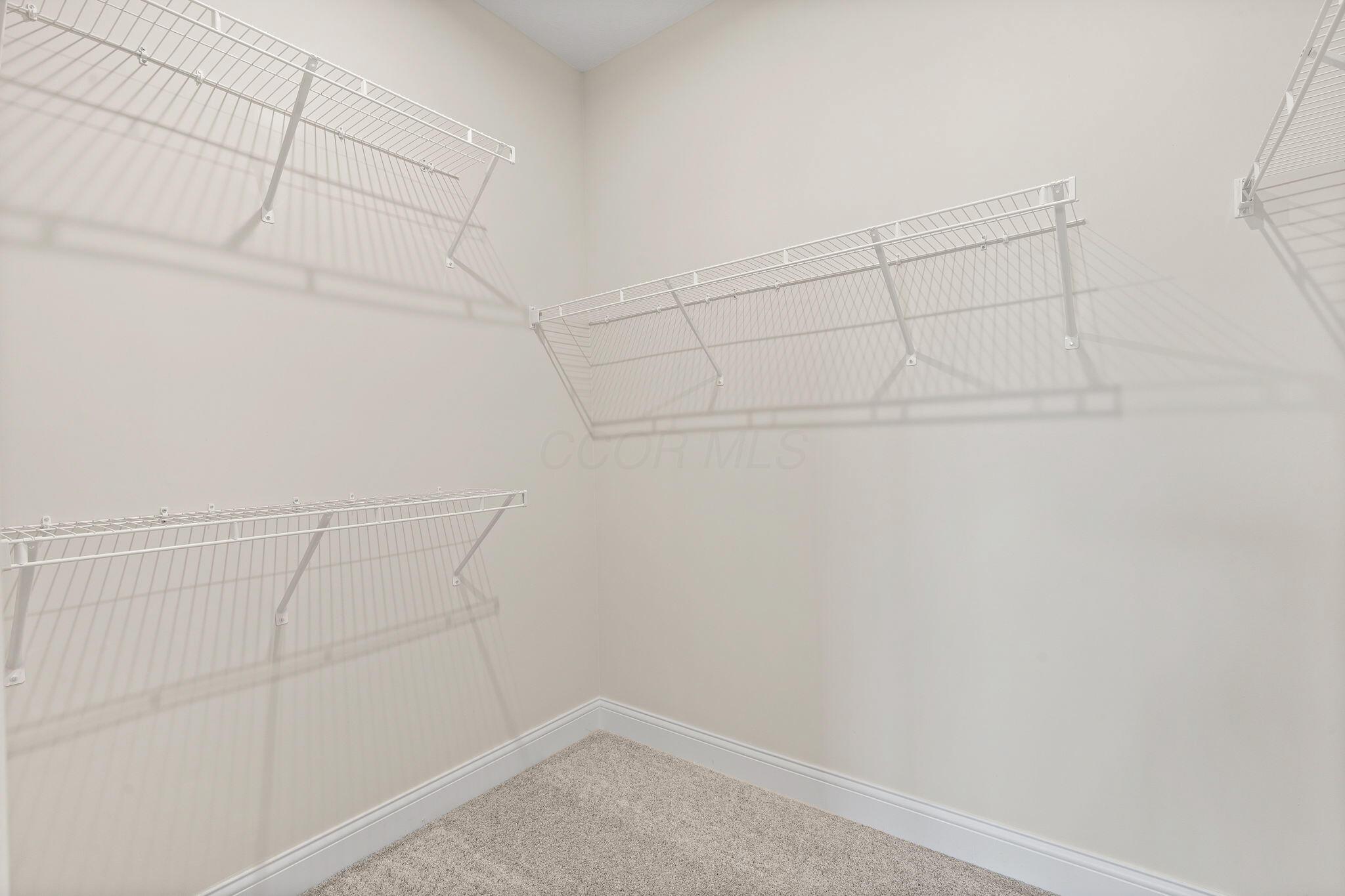 706 Oldcastle Road, Unit LOT 77 Lewis Center, OH 43035 - Photo 16 of 38 Primary Suite