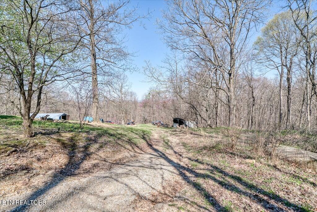 618 Old Baker Mountain Road Spencer, TN 38585 - Photo 21 of 33 235522_4