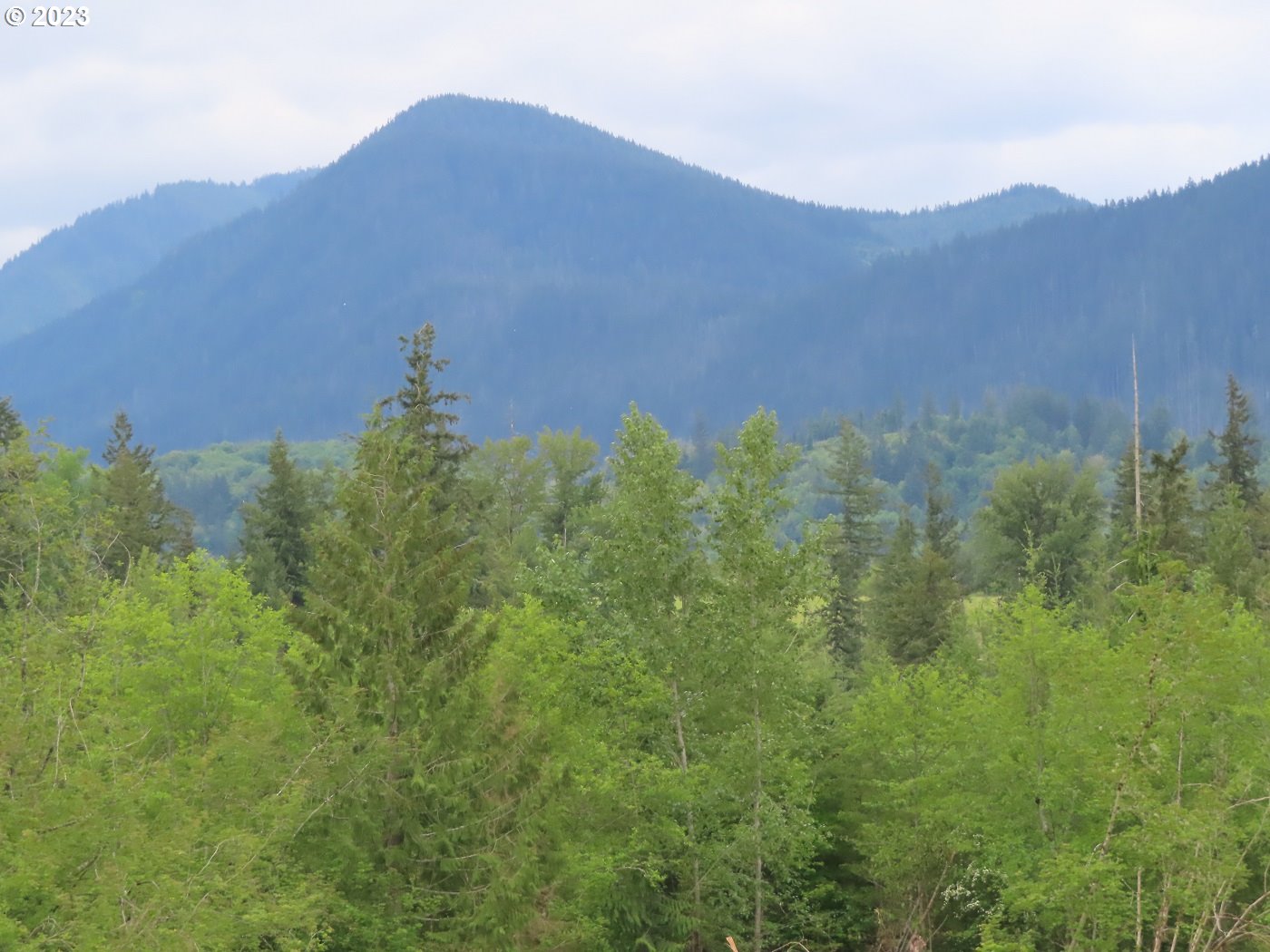 Pilgrim Road East Eatonville, WA 98328 - Photo 13 of 34 a view of a large building with a mountain in the background