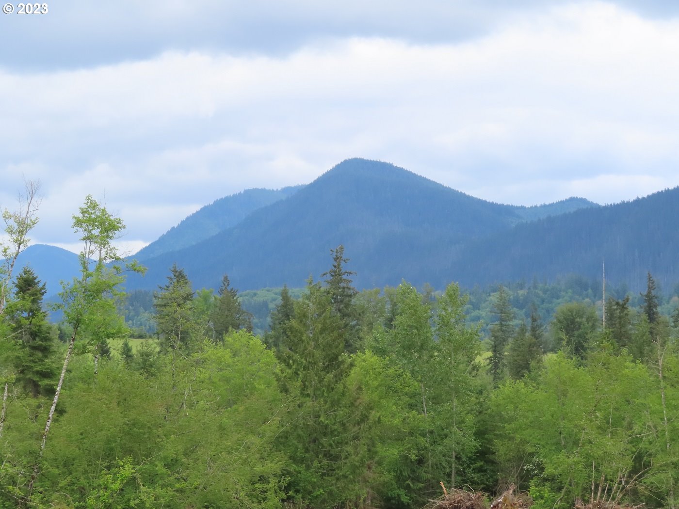 Pilgrim Road East Eatonville, WA 98328 - Photo 3 of 34 a view of a lush green hillside and a houses