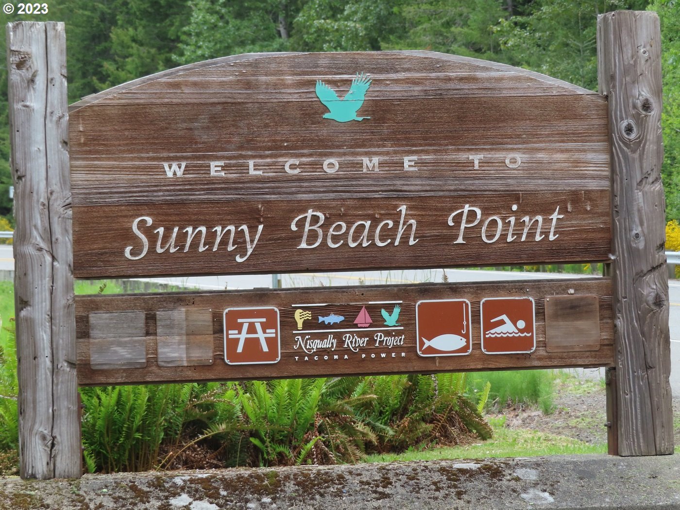 Pilgrim Road East Eatonville, WA 98328 - Photo 33 of 34 a view of outdoor space with sign board