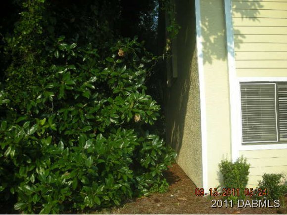 480 Reed Canal Road, Unit 38 South Daytona, FL 32119 - Photo 13 of 15 Additional Photo
