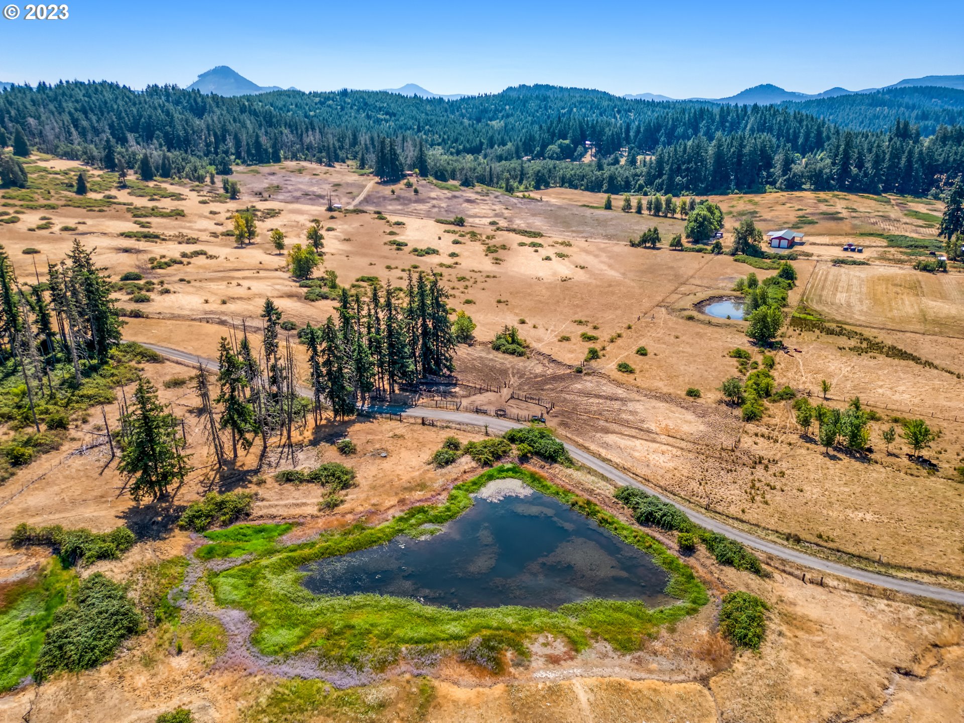 83369 Rattlesnake Road Dexter, OR 97431 - Photo 4 of 44 a view of a town with trees