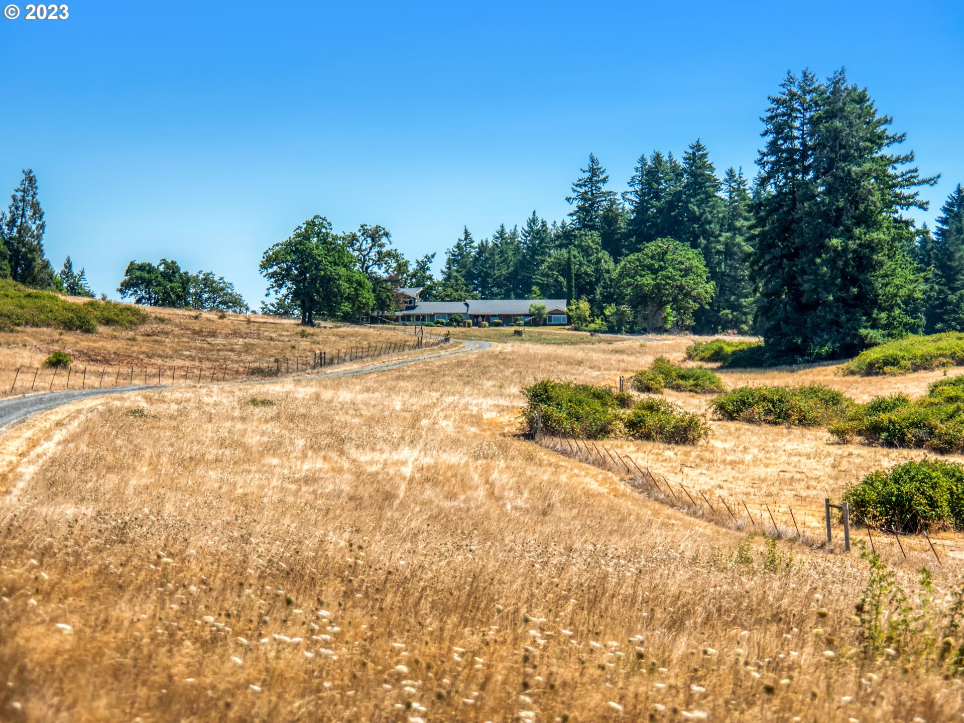 83369 Rattlesnake Road Dexter, OR 97431 - Photo 6 of 44 a view of a yard with an outdoor space