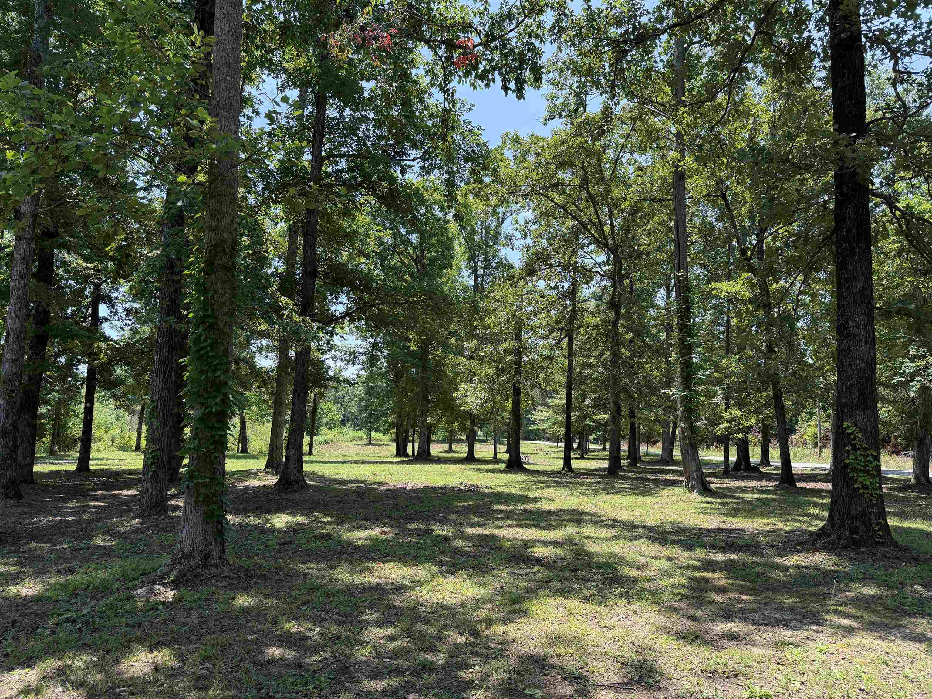 730 Old Union Road Adamsville, TN 38310 - Photo 30 of 40