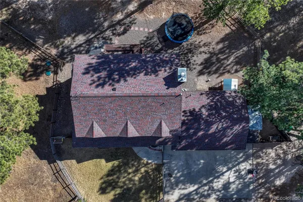 a view of a backyard with a tree