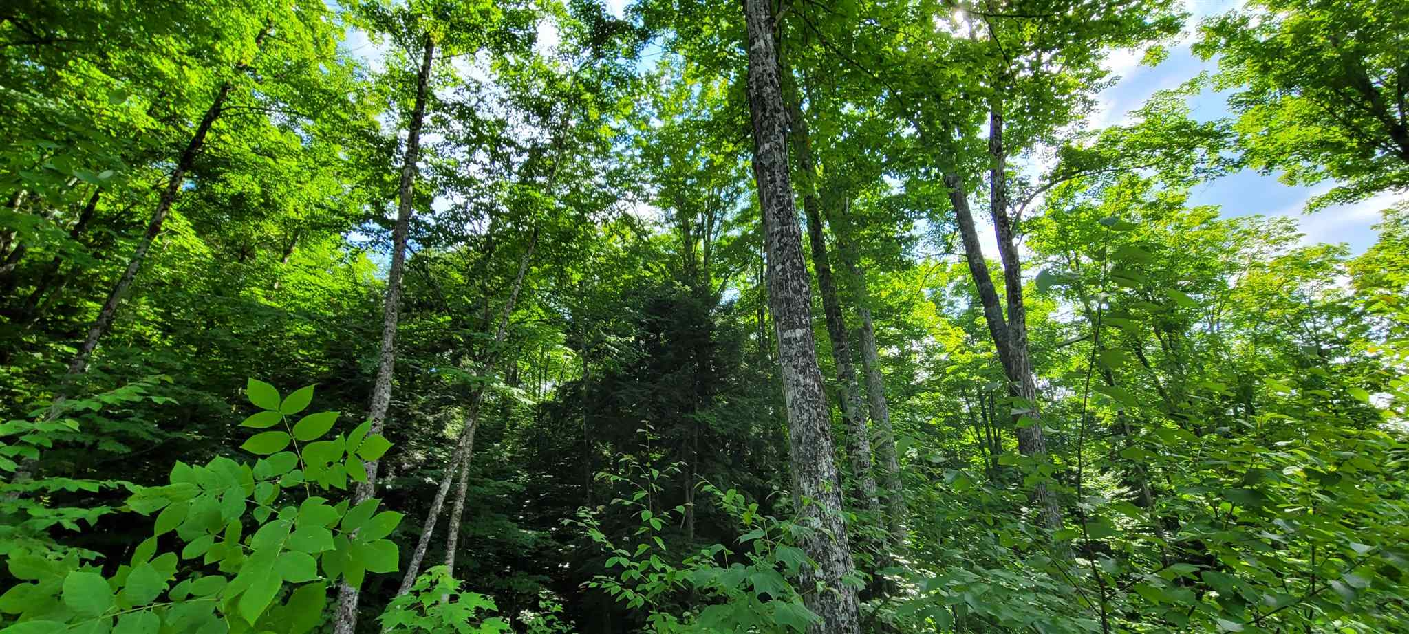 1318 Delano Road Irasburg, VT 05845 - Photo 19 of 26 Gallery Image 19