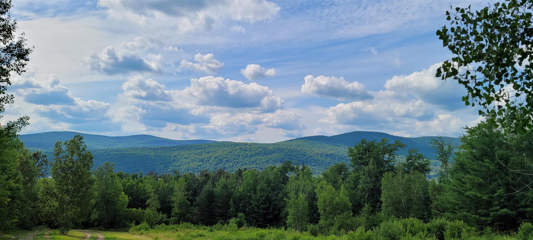 1318 Delano Road Irasburg, VT 05845 - Photo 3 of 26 Gallery Image 3