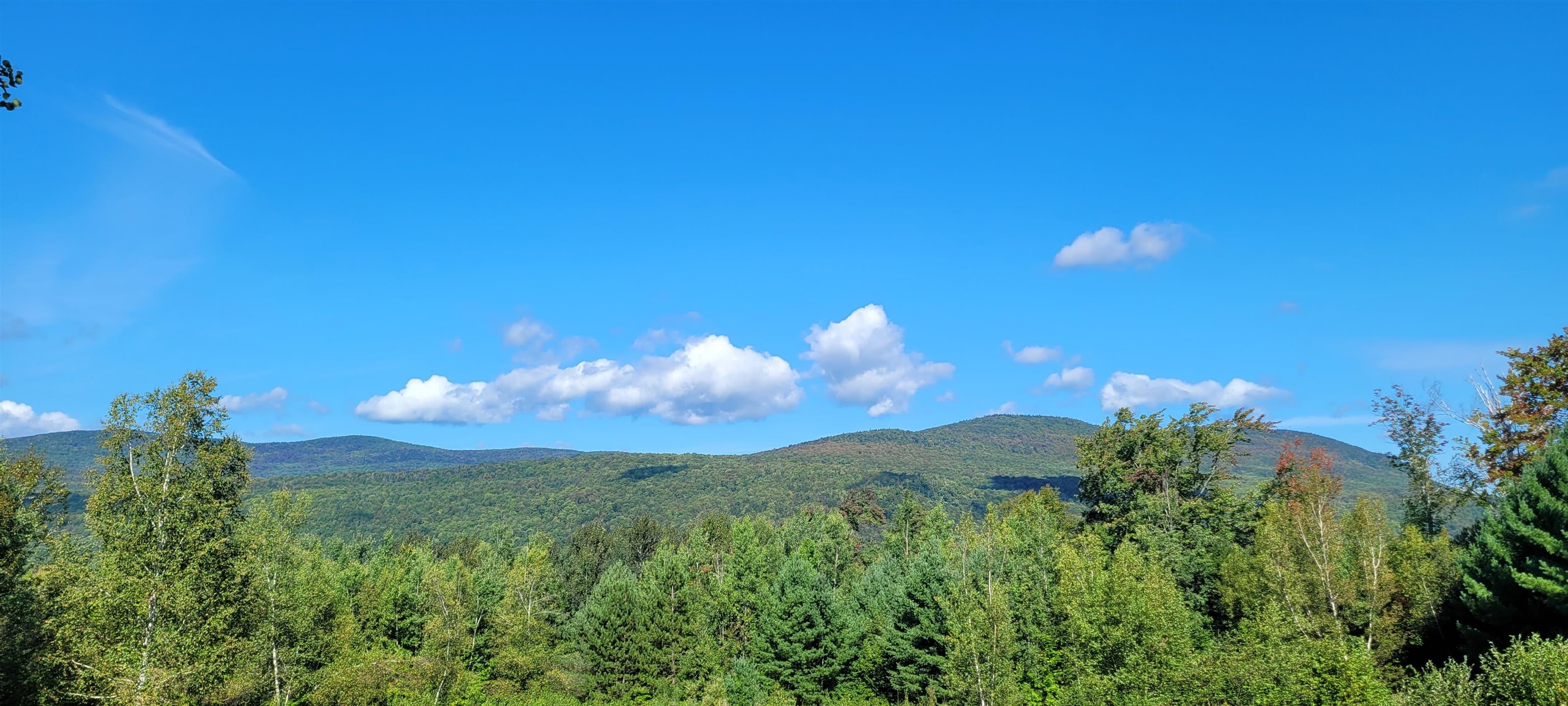 1318 Delano Road Irasburg, VT 05845 - Photo 24 of 26 Gallery Image 24