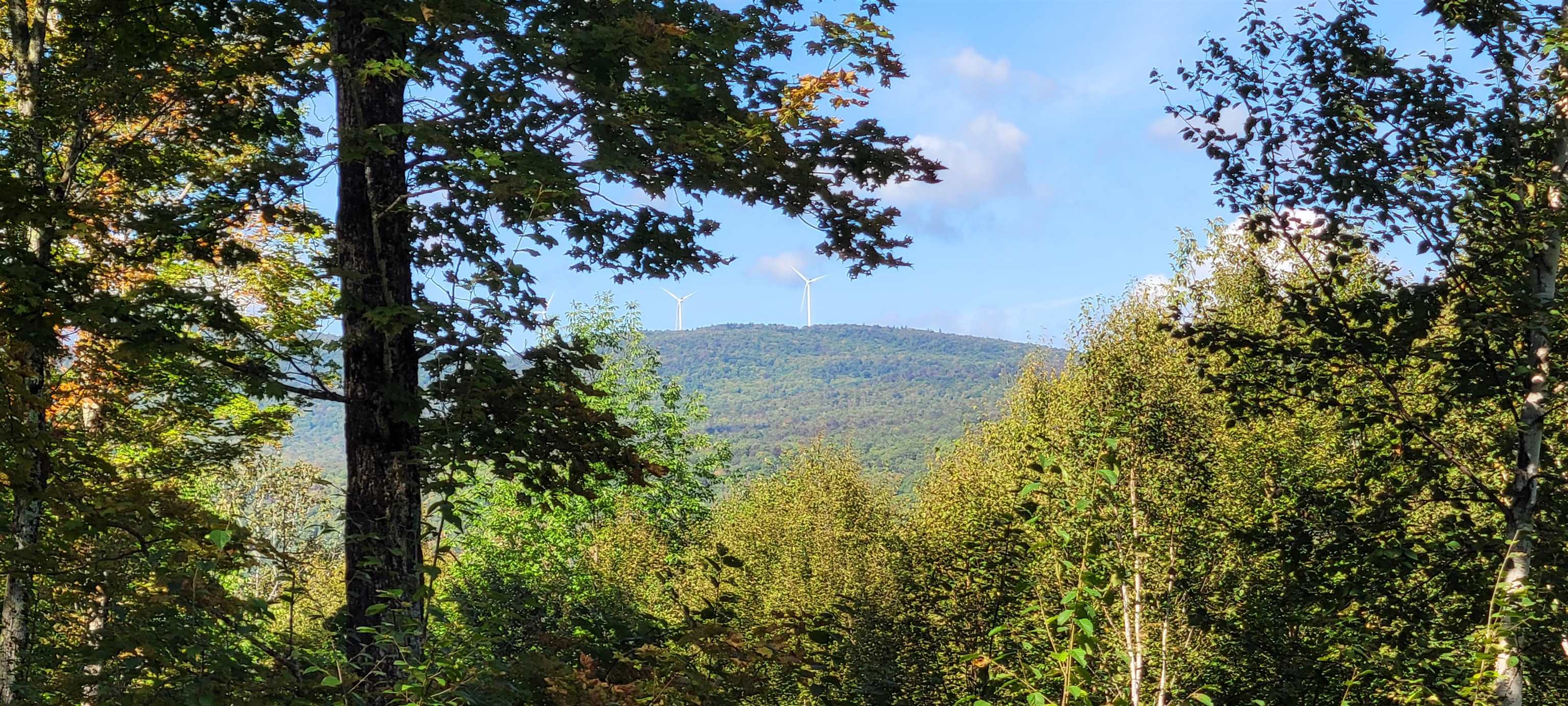 1318 Delano Road Irasburg, VT 05845 - Photo 25 of 26 Gallery Image 25