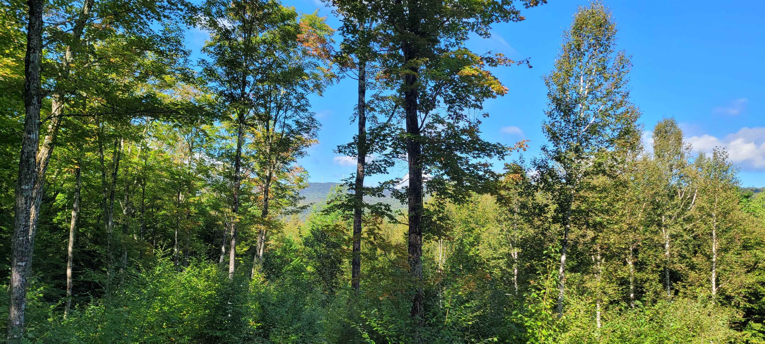 1318 Delano Road Irasburg, VT 05845 - Photo 26 of 26 Gallery Image 26